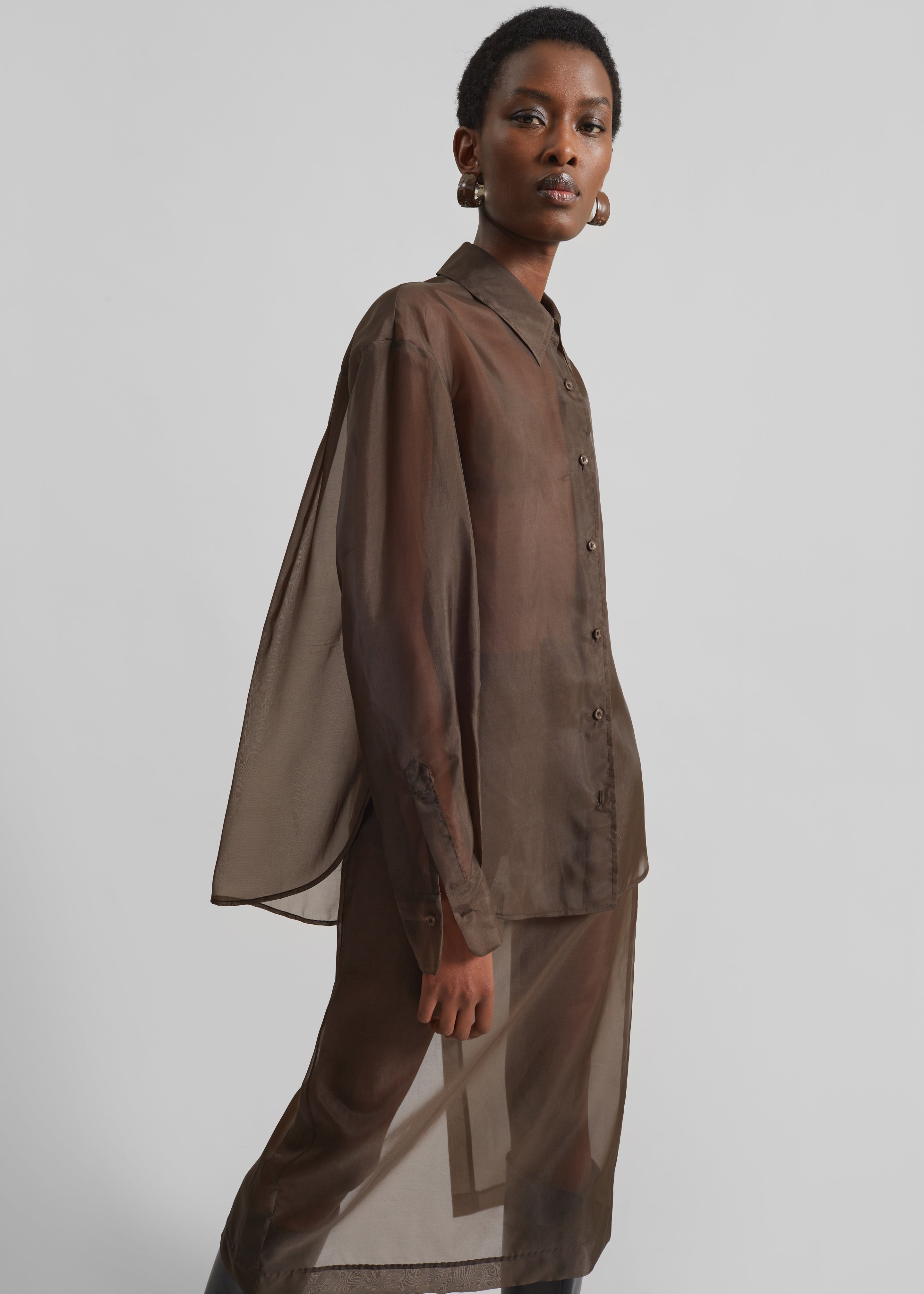 sheer shirt dress Peri Sheer Shirt