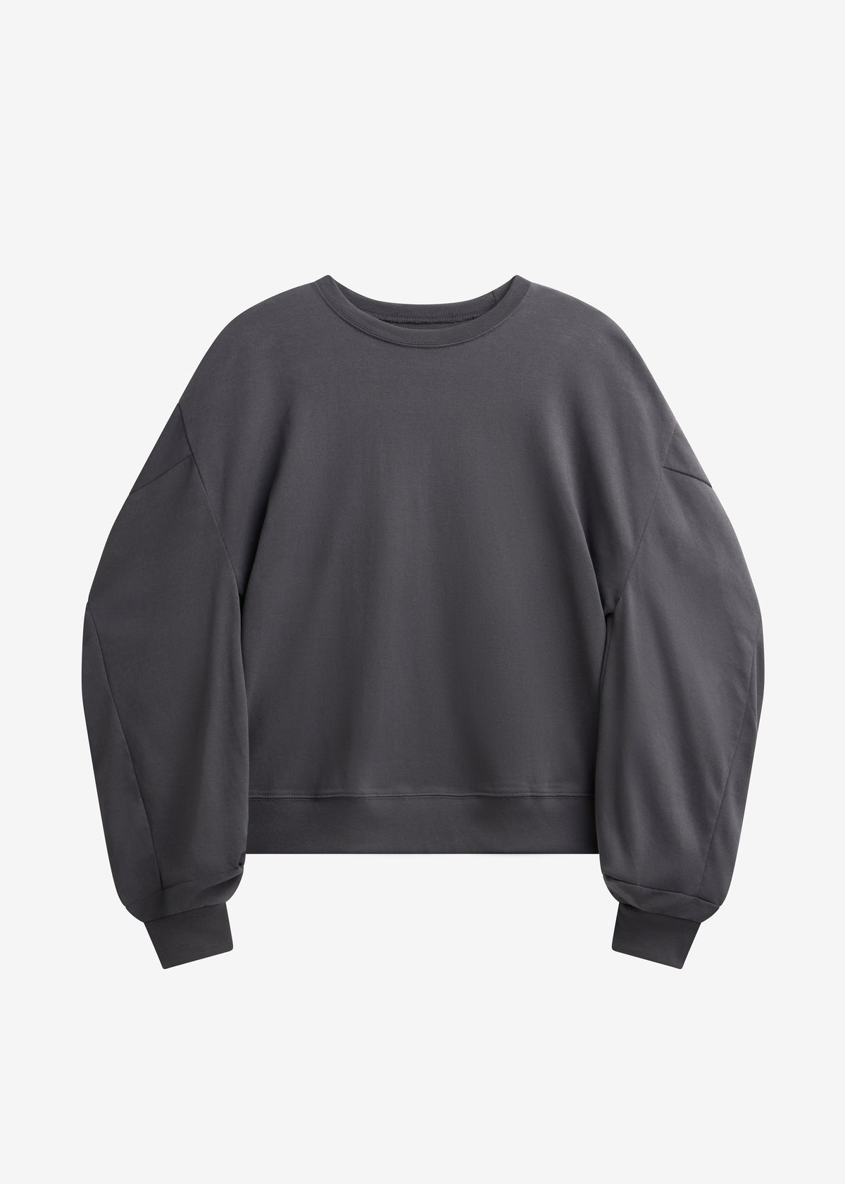 Balve Balloon Sleeve Sweatshirt - Grey - 6