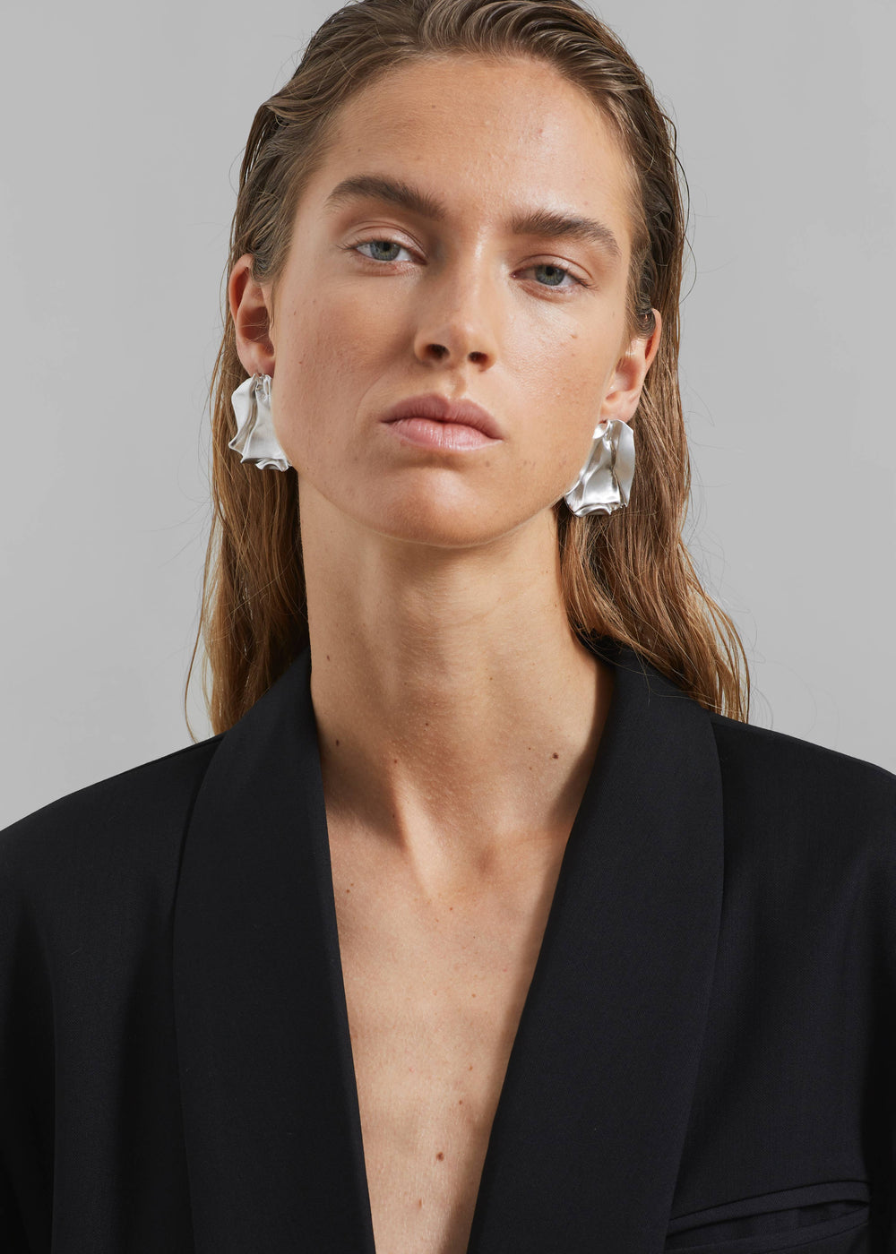 Completedworks Groundswell Earrings - Platinum - 1