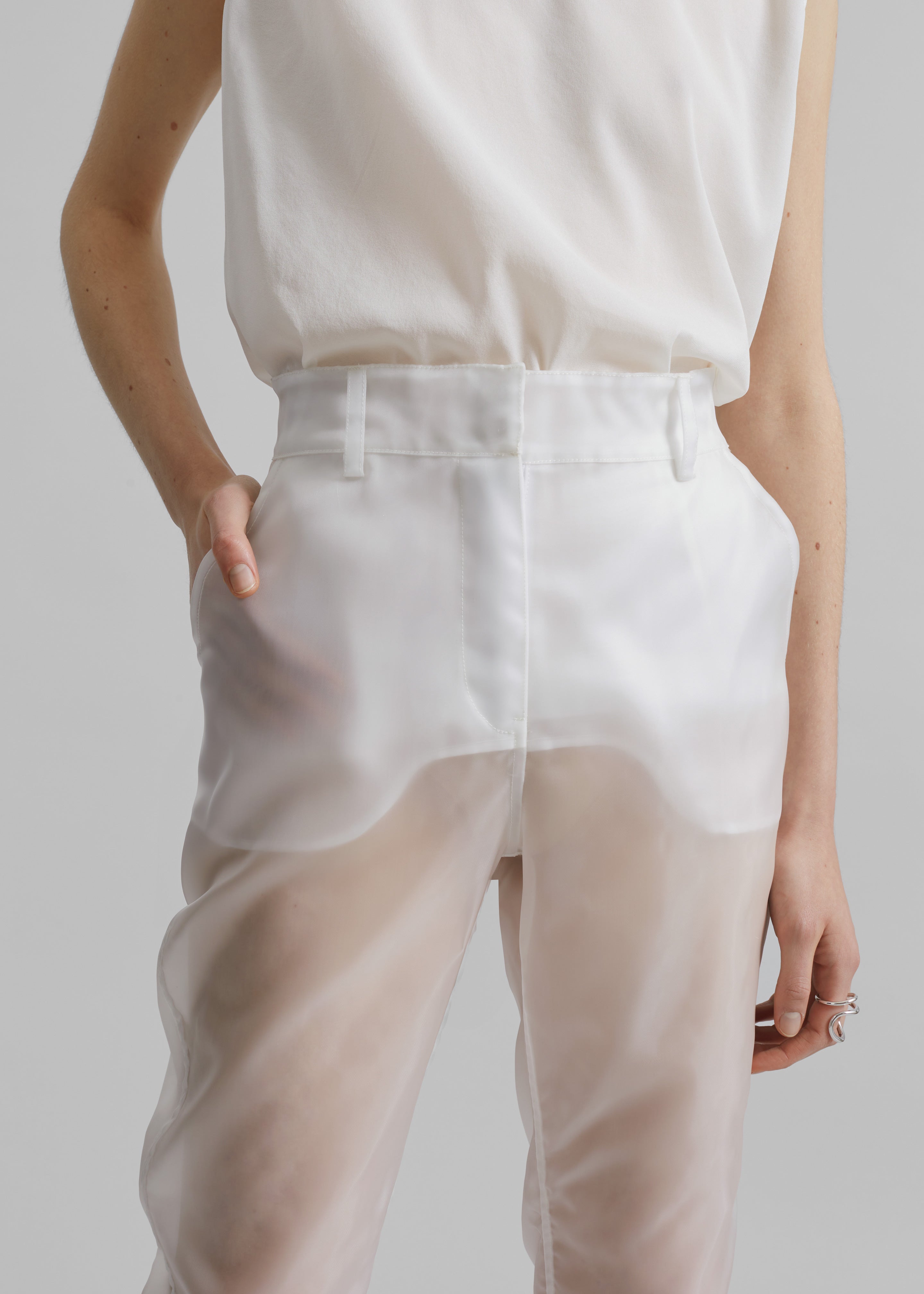 Coperni Organza Pants - Clear - 3