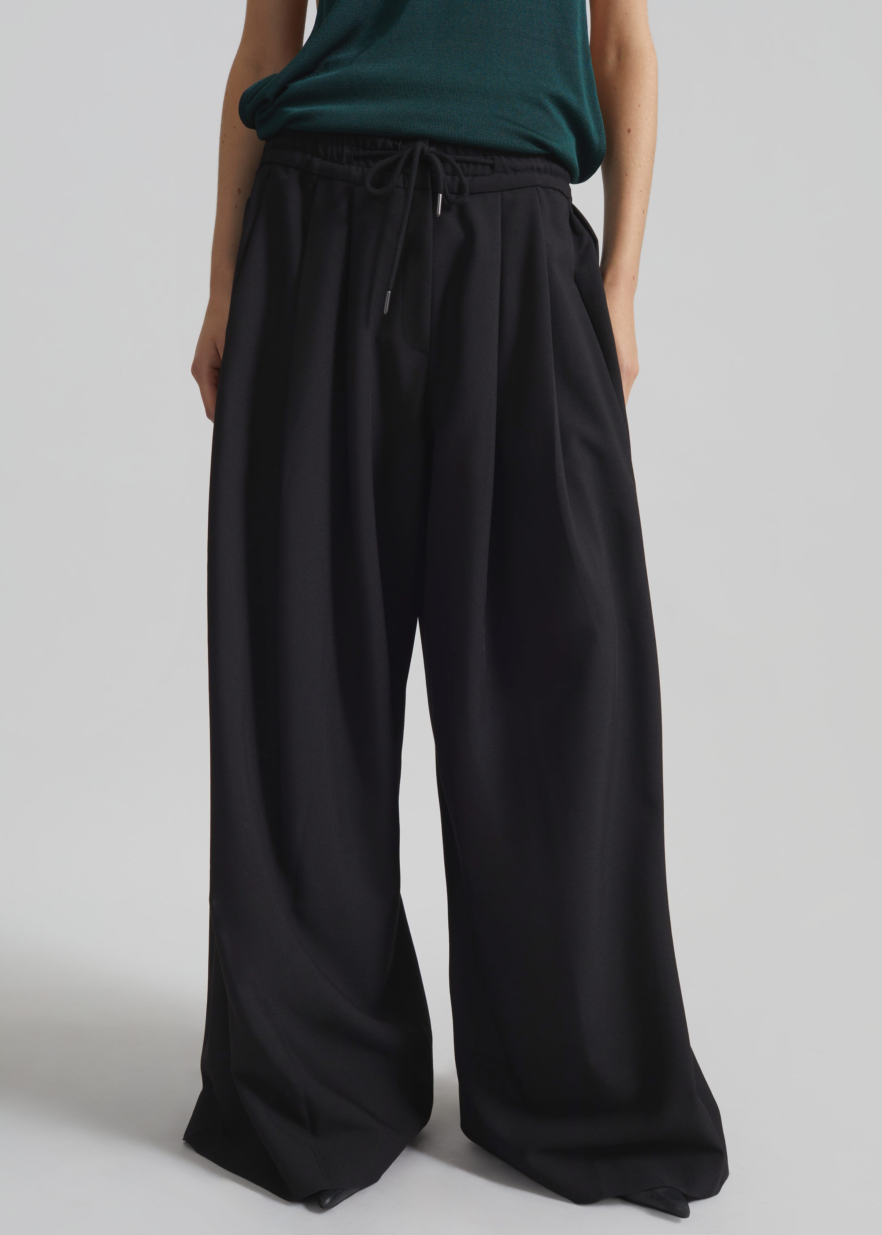 Corlen Pleated Wide Pants - Black – The Frankie Shop