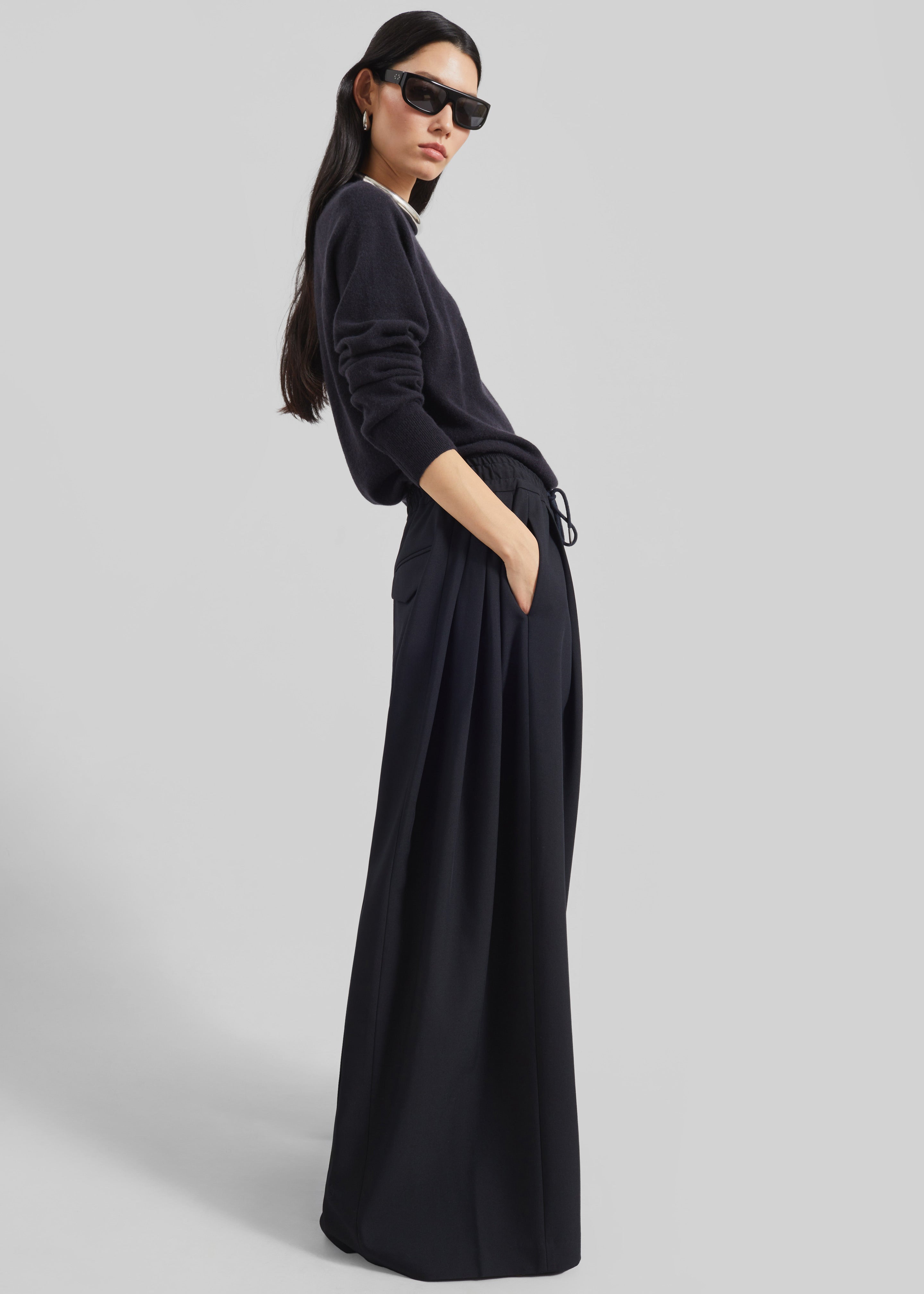 Corlen Pleated Wide Pants - Black – The Frankie Shop