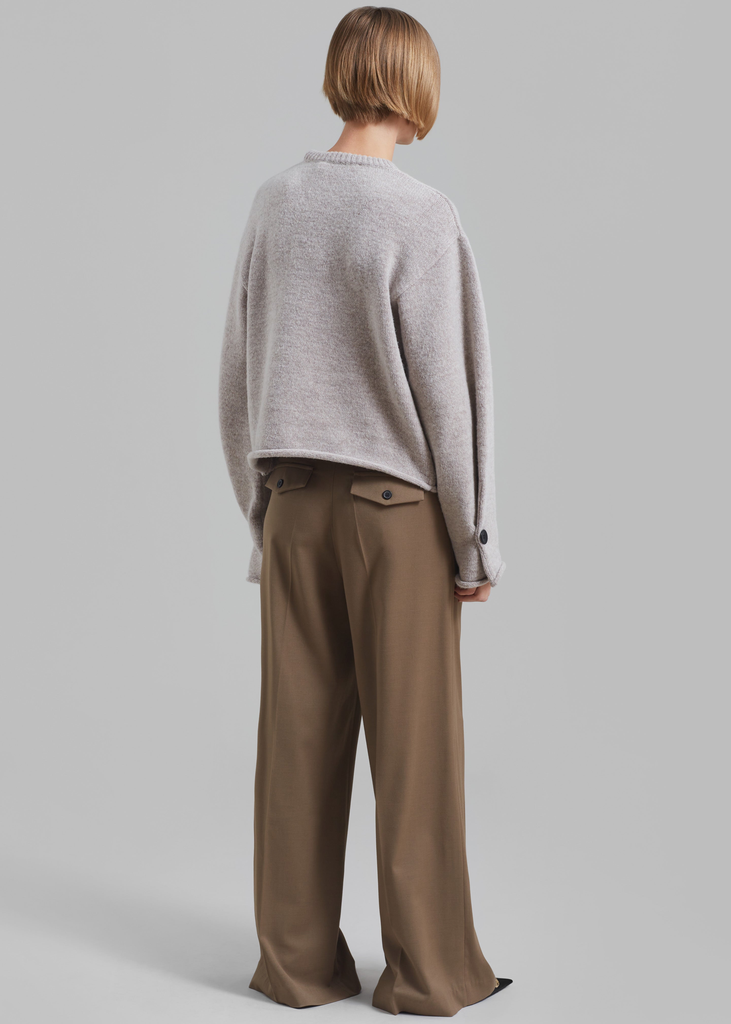 Dariel Pleated Trousers - Taupe - 8