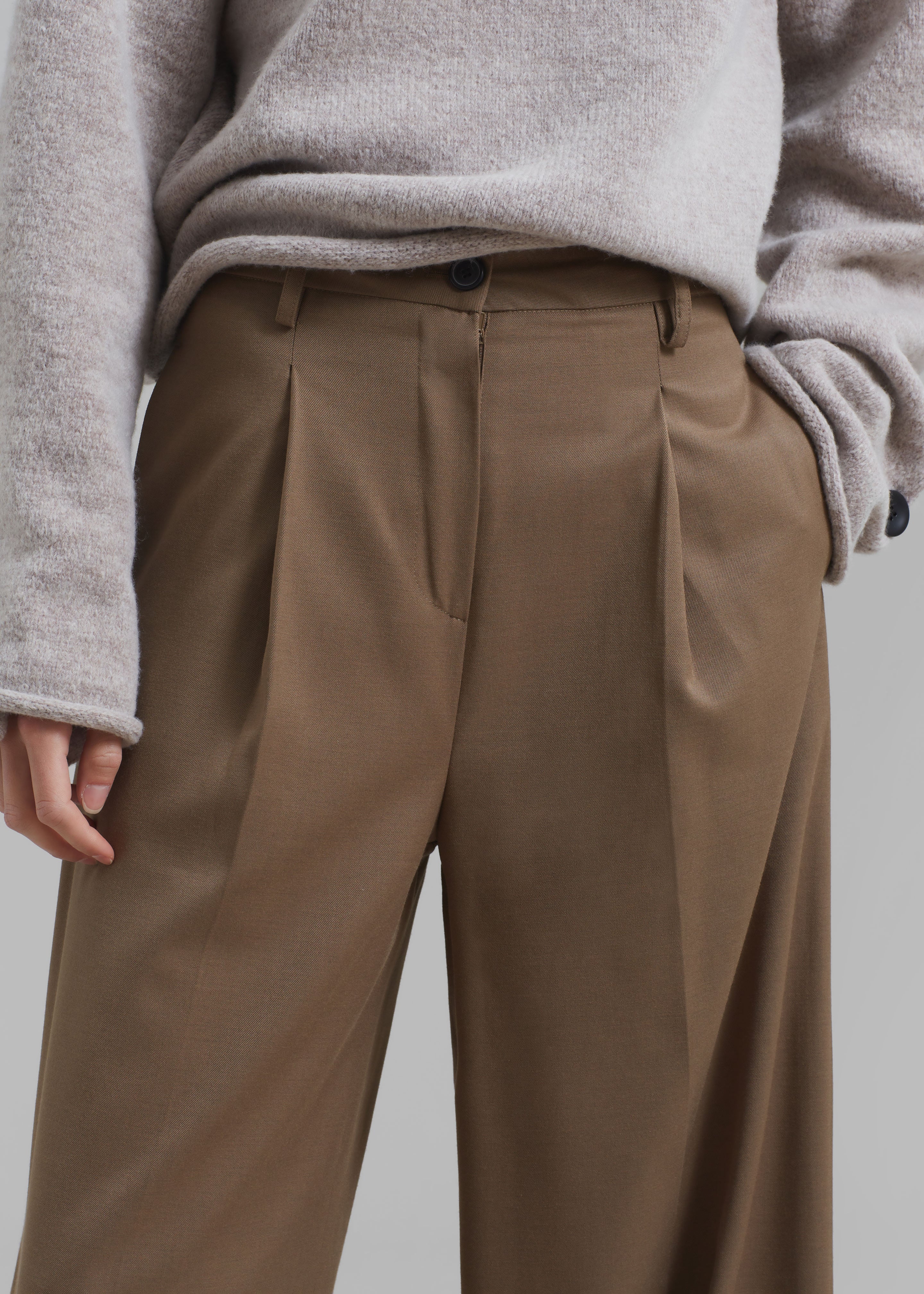 Dariel Pleated Trousers - Taupe - 4