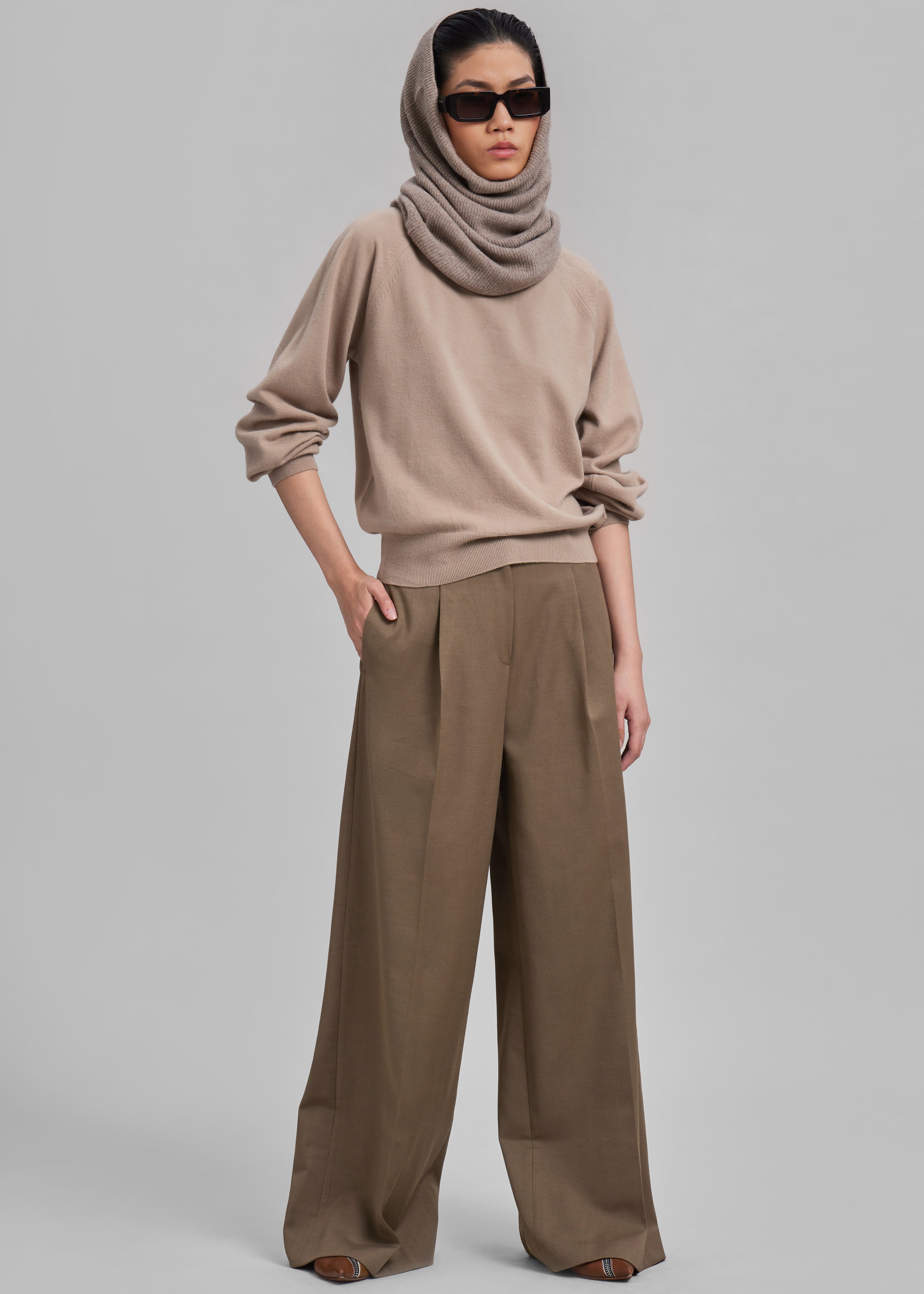 Dariel Pleated Trousers - Taupe - 2
