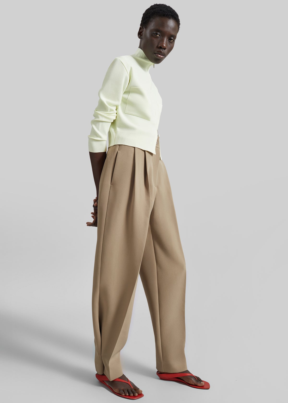 Doyer Pleated Trousers - Beige - 5