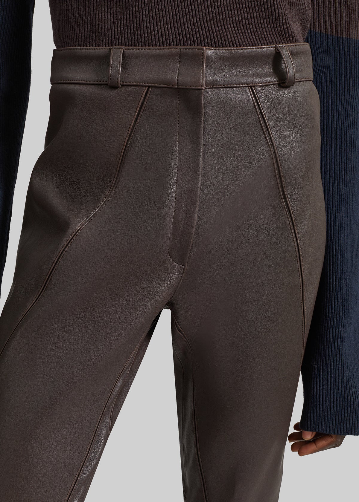 Dune Stretch Leather Panelled Pants - Brown