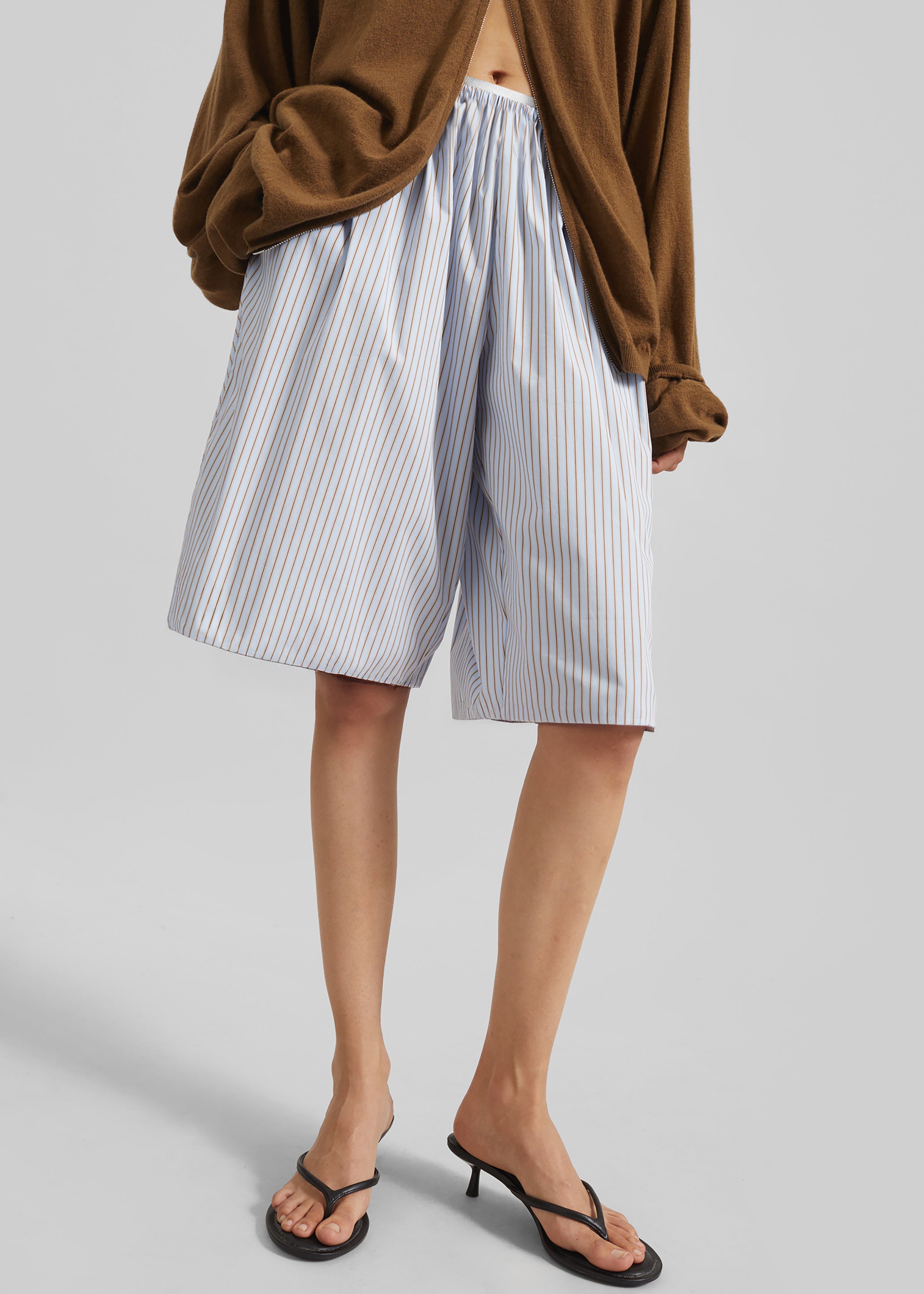 Elyn Cotton Bermuda Shorts - Light Blue/Brown Stripe - 2
