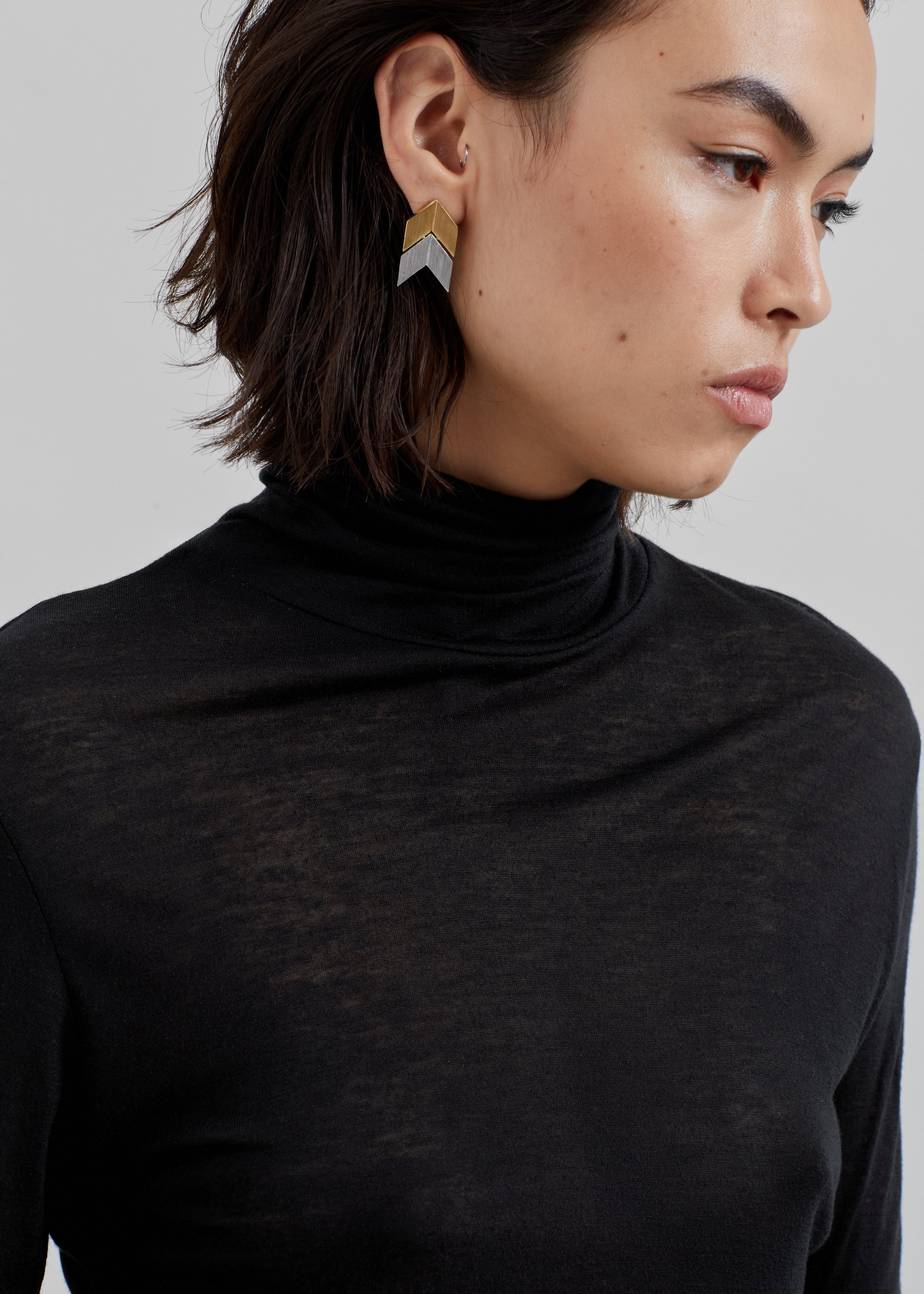 Evren Sheer Turtleneck - Black - 2