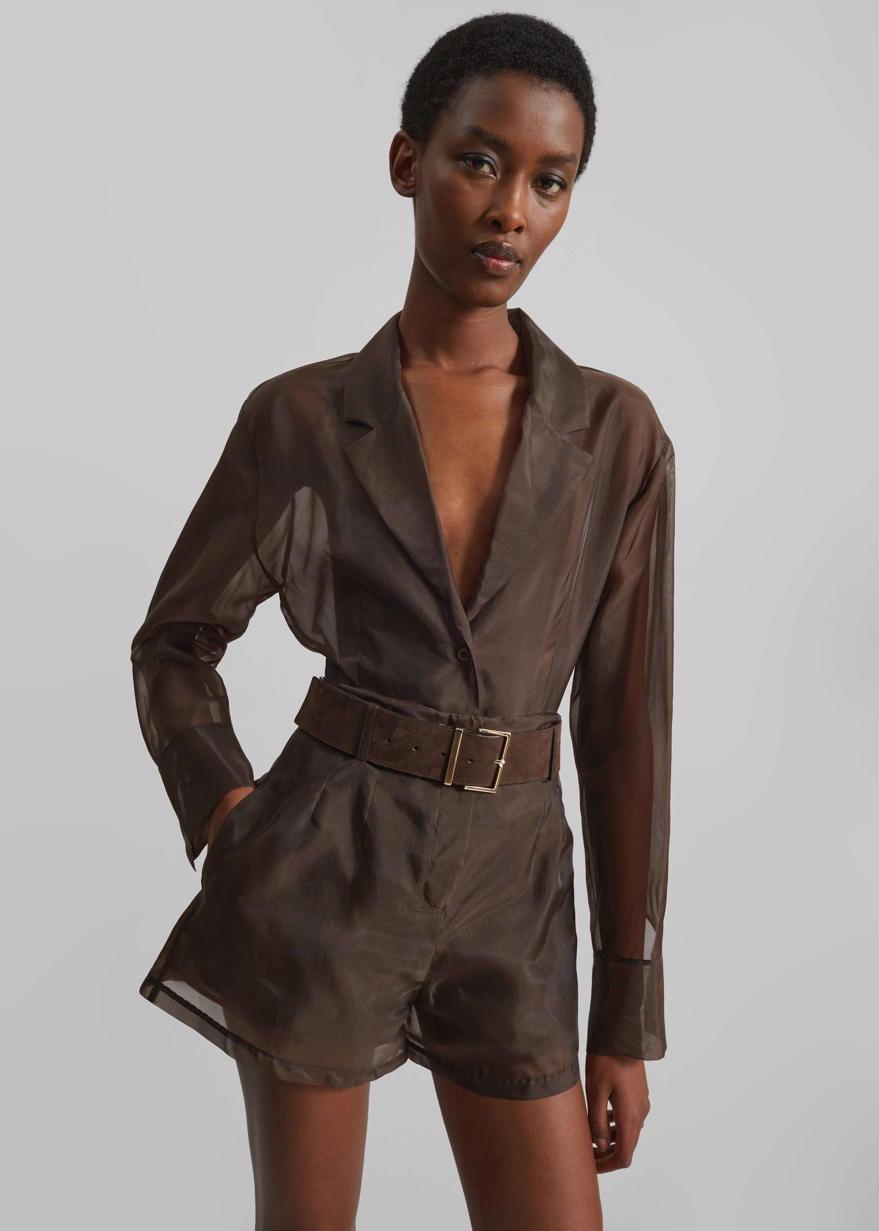 Lise Sheer Blazer - Brown - 1