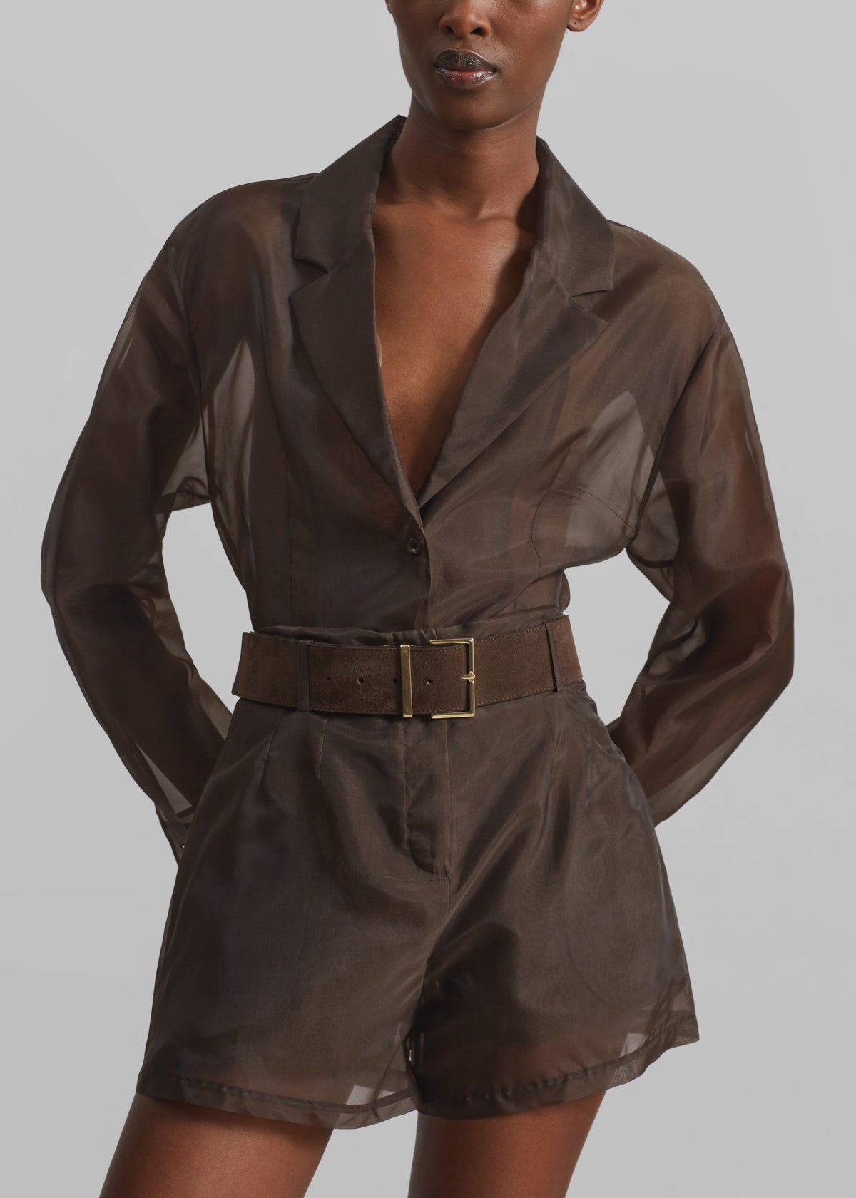 Lise Sheer Shorts - Brown - 6