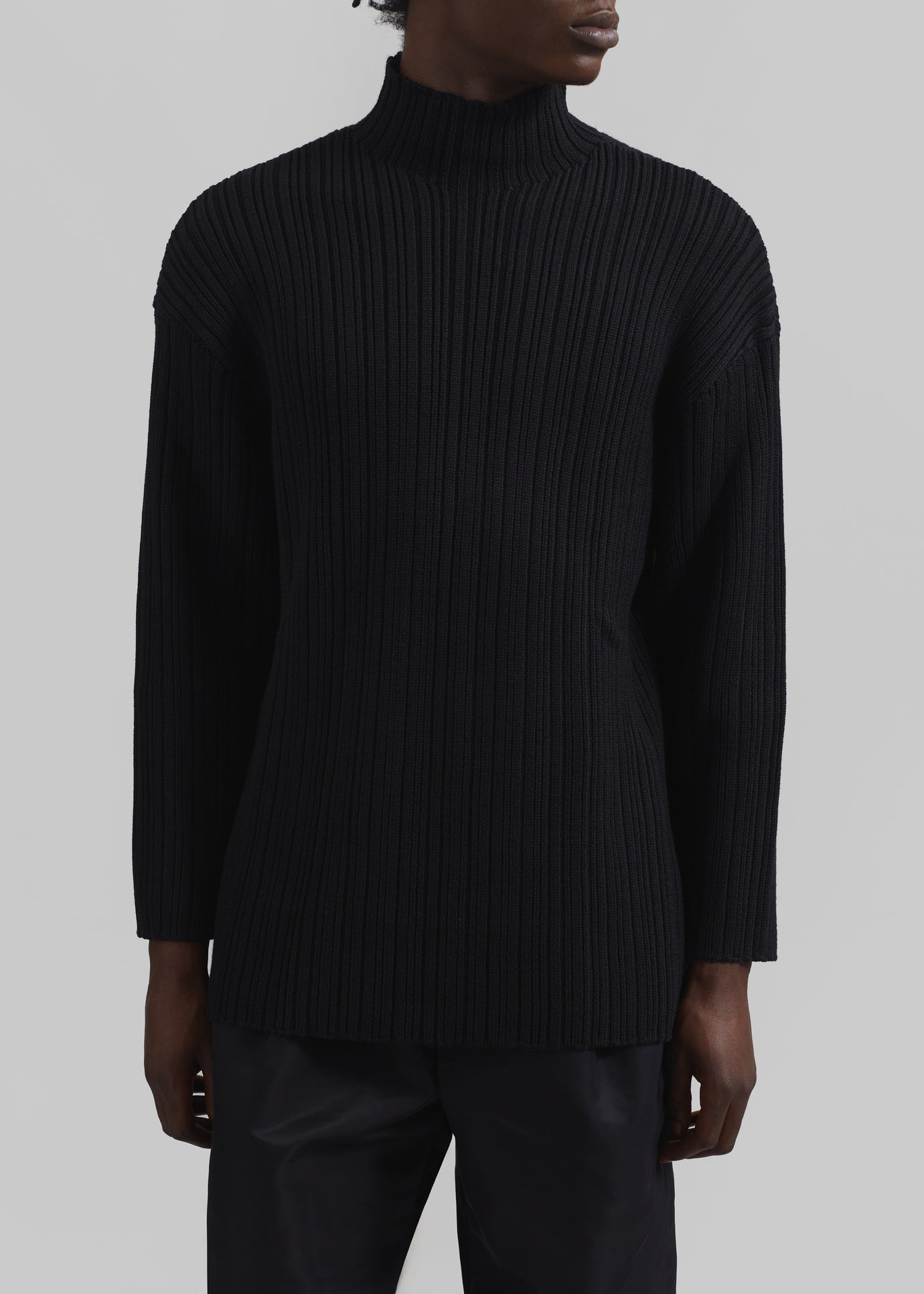 Louis Gabriel Nouchi Mockneck Rib Sweater - Black - 1