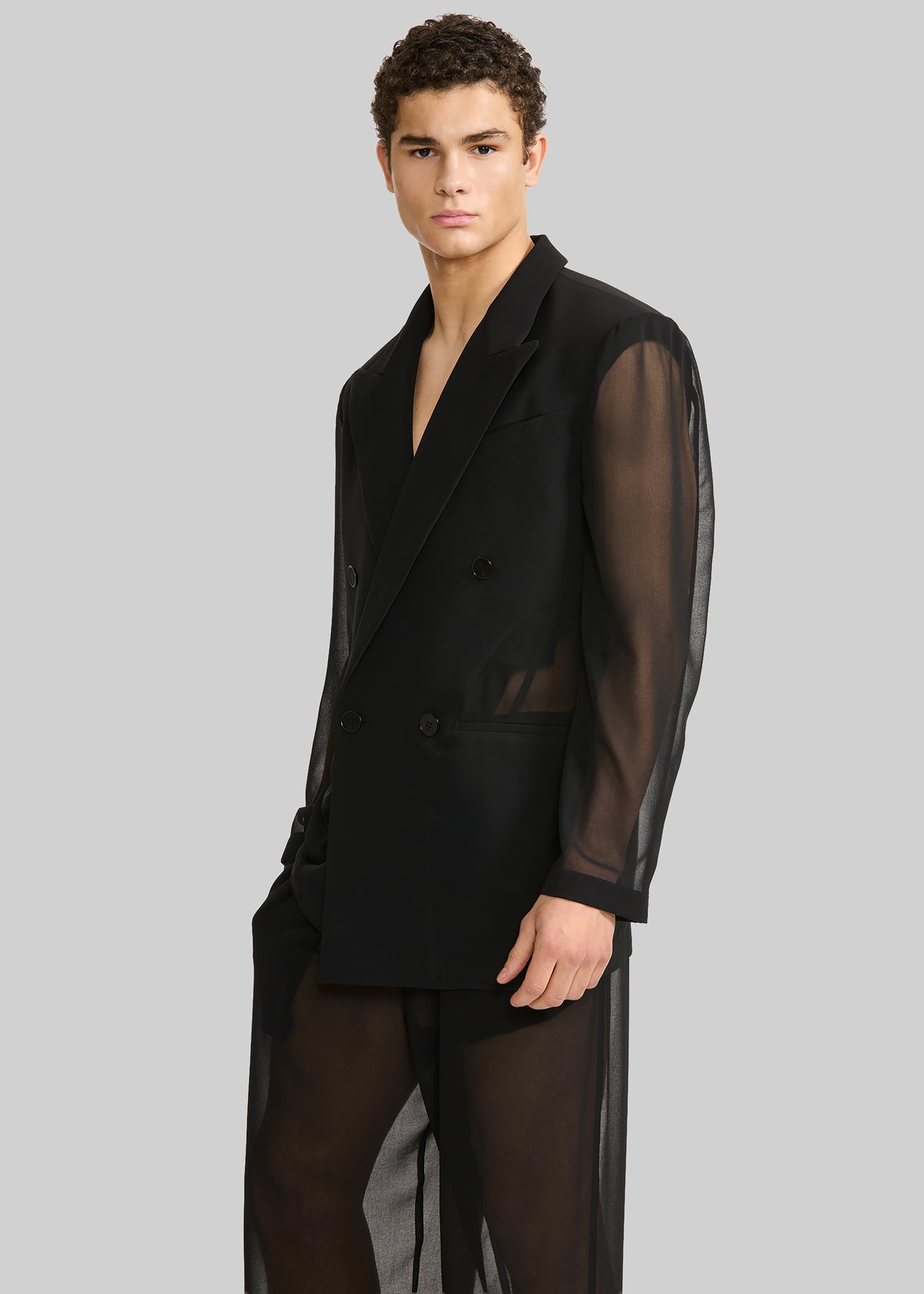 Louis Gabriel Nouchi 4-Button Double-Breasted Sheer Jacket - Black - 4 - [gender-male]