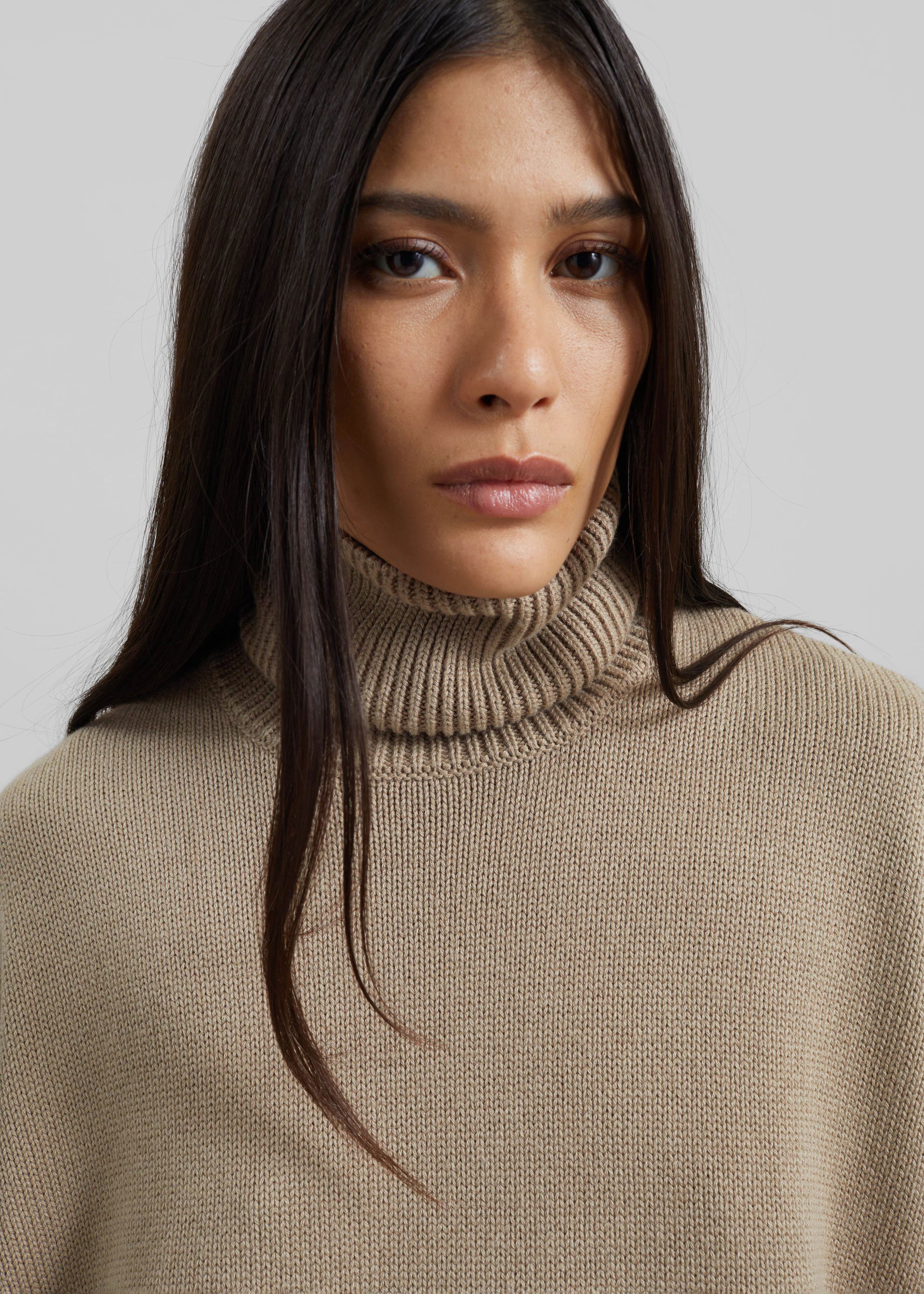 Rhea Trapeze Turtleneck - Beige - 4