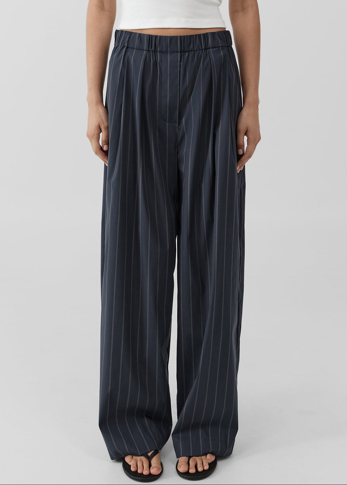 St. Agni Stripe Relaxed Pleat Pants - Ink Stripe - 2