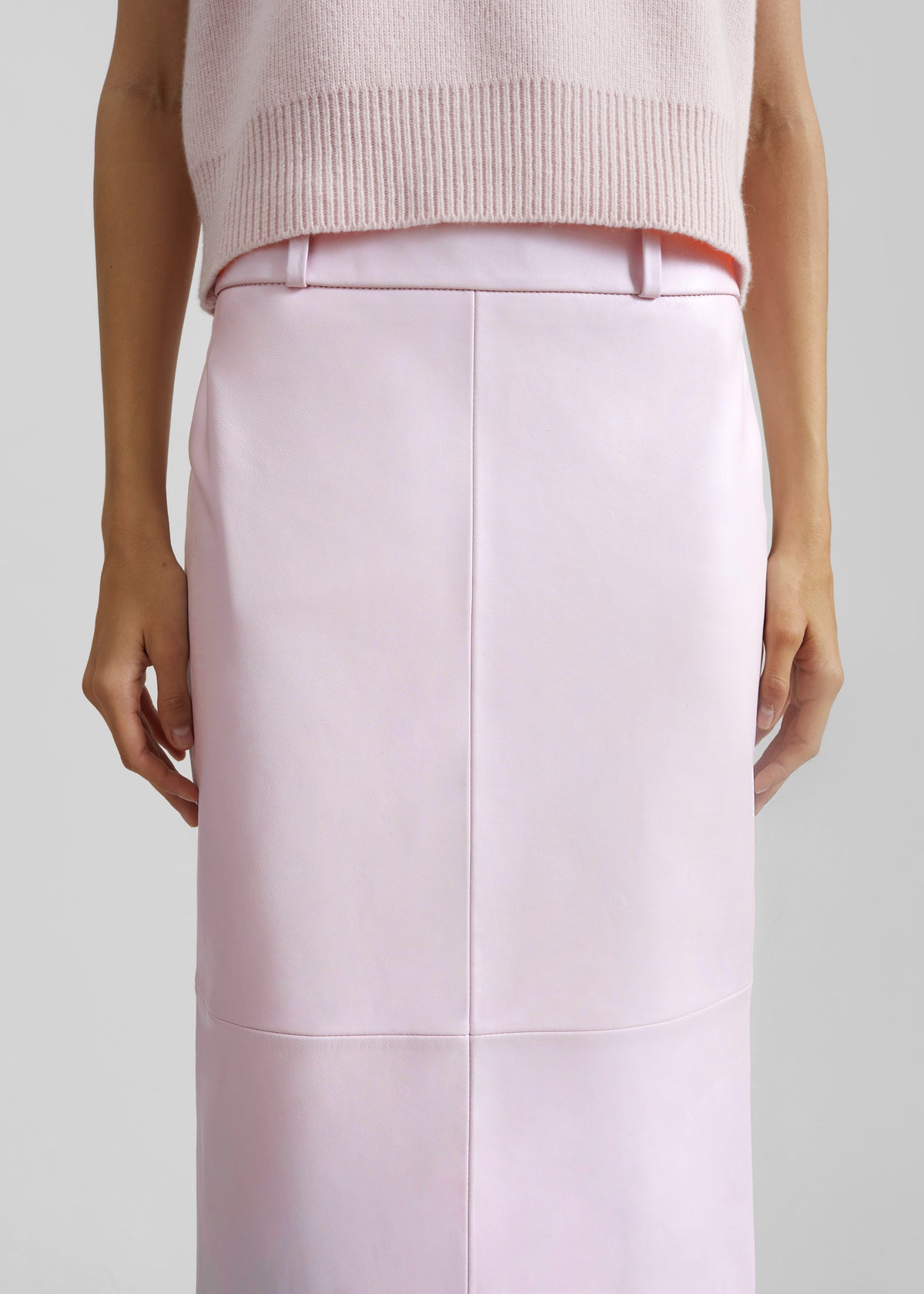 Taney Leather Pencil Skirt - Faded Pink - 4