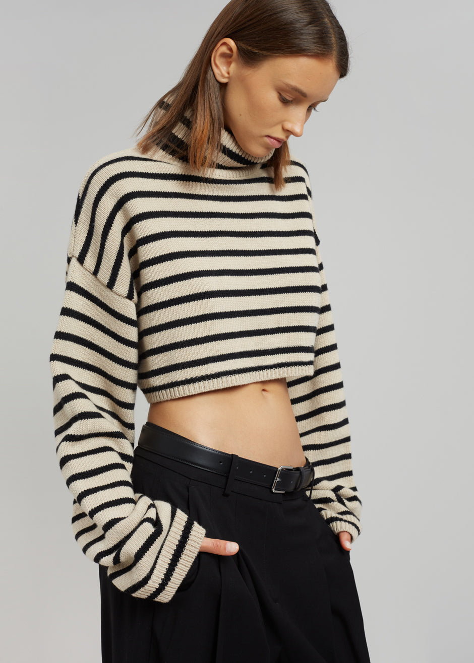 Athina Cropped Turtleneck Sweater Black Stripe – The